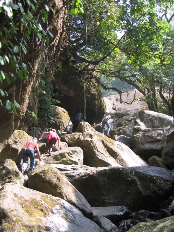 Going further up following the creek